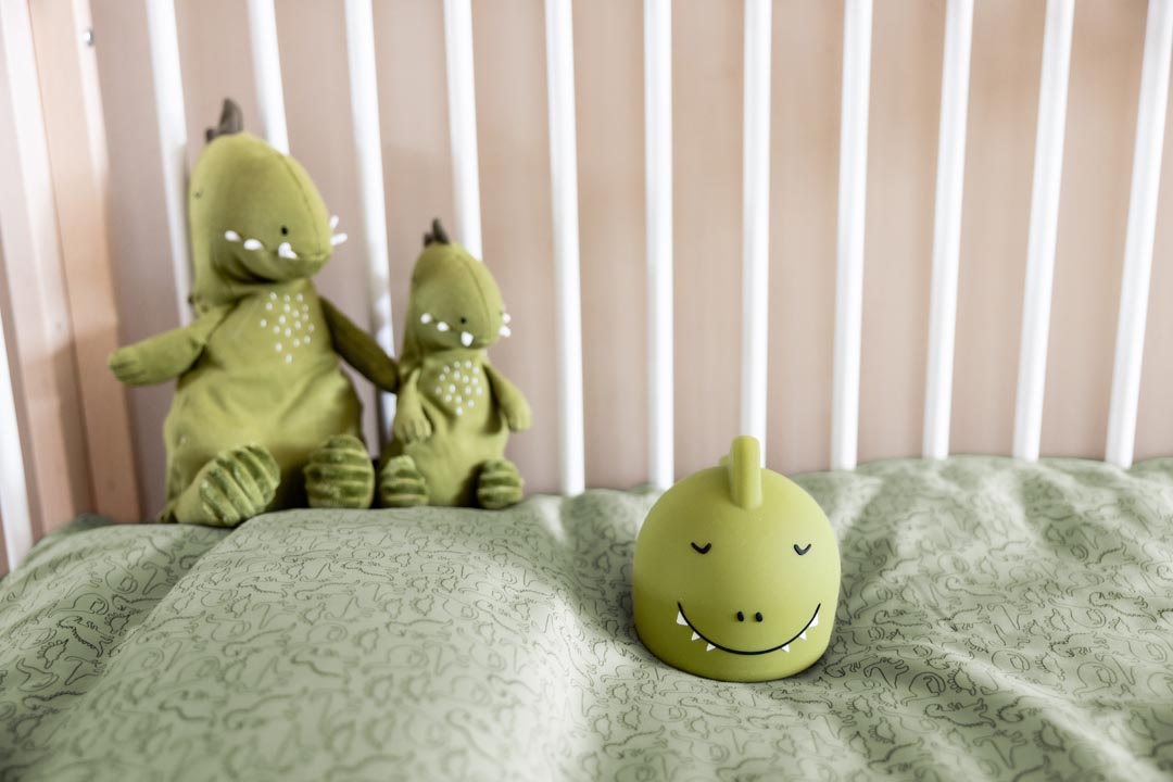 Night light - Mr. Dino