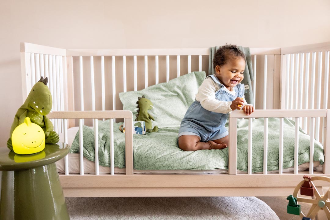 Night light - Mr. Dino