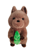 Banjo the Quokka Soft Toy