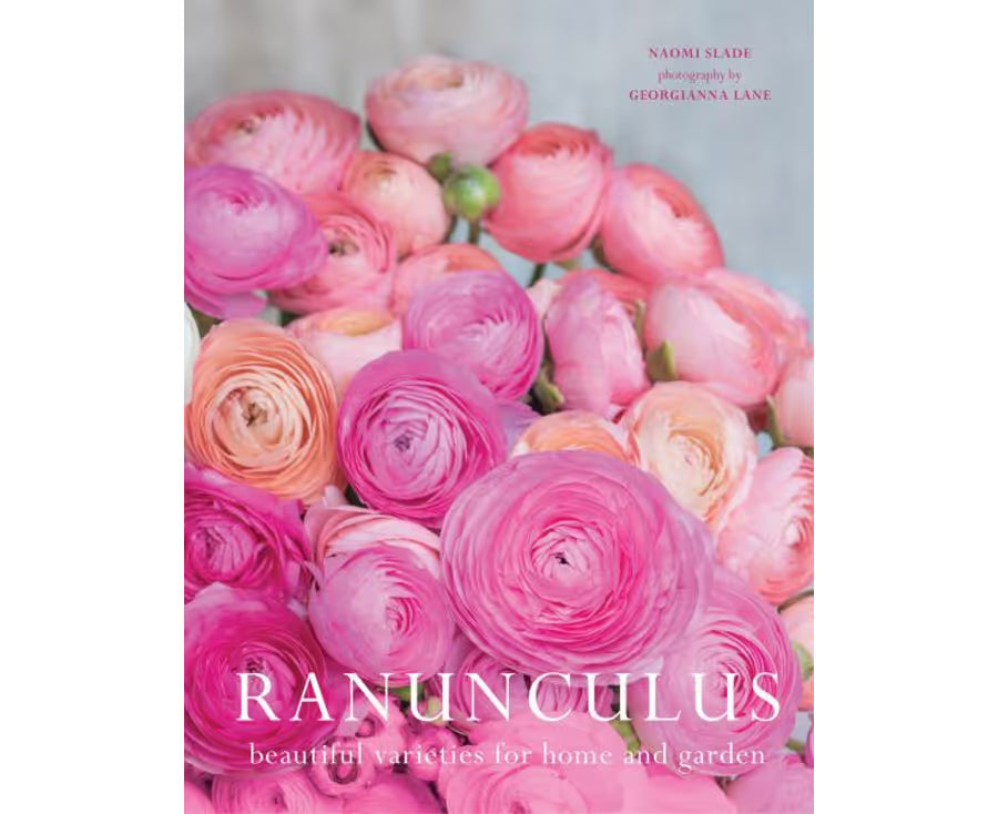 Ranuculus -  Beautiful Varieties for Home and Garden