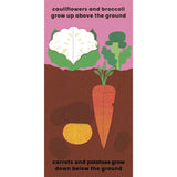 Love Veggies with Jamie Oliver