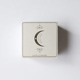 Oriya Earrings - Silver