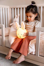 Load image into Gallery viewer, Night light - Mrs. Rabbit

