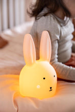 Load image into Gallery viewer, Night light - Mrs. Rabbit
