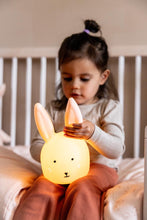 Load image into Gallery viewer, Night light - Mrs. Rabbit
