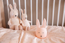 Load image into Gallery viewer, Night light - Mrs. Rabbit
