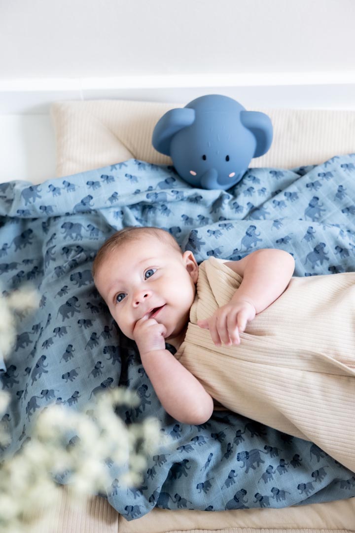 Night light - Mrs. Elephant