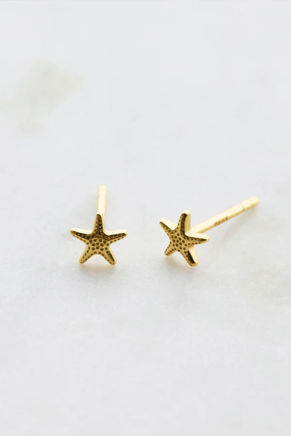 Starfish Stud - Gold