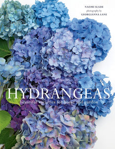 Hydrandeas