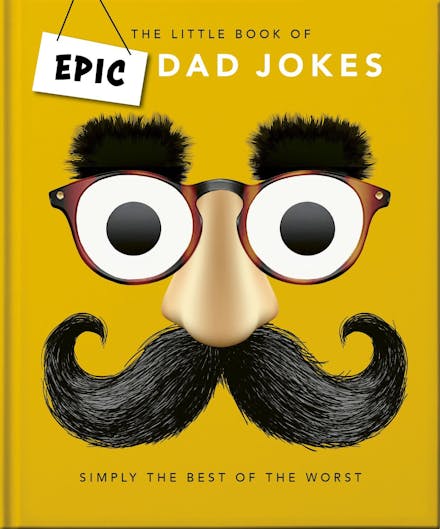 The Little book of Epic Dad Jokes