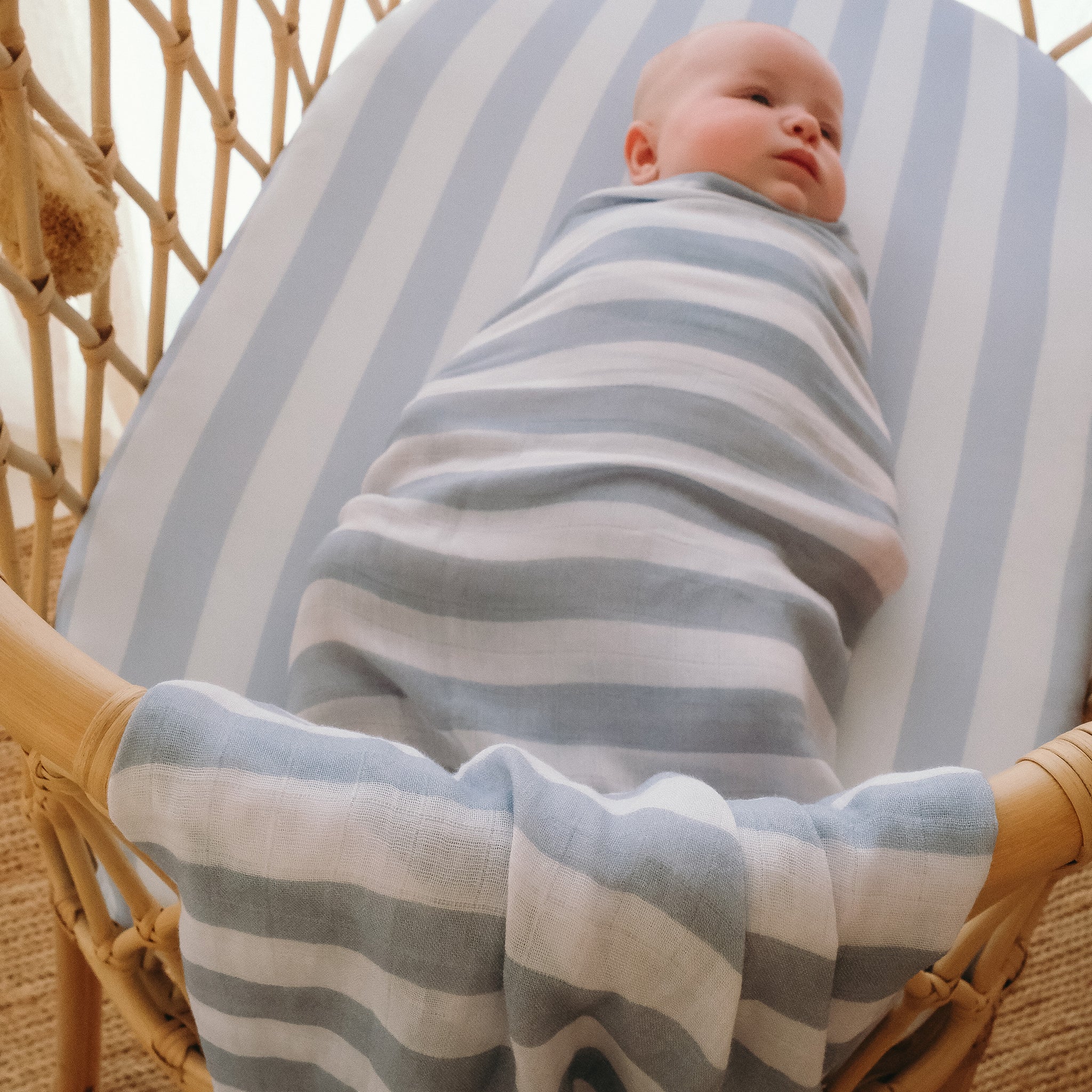 Cloud Stripe Organic Fitted Cot Sheet