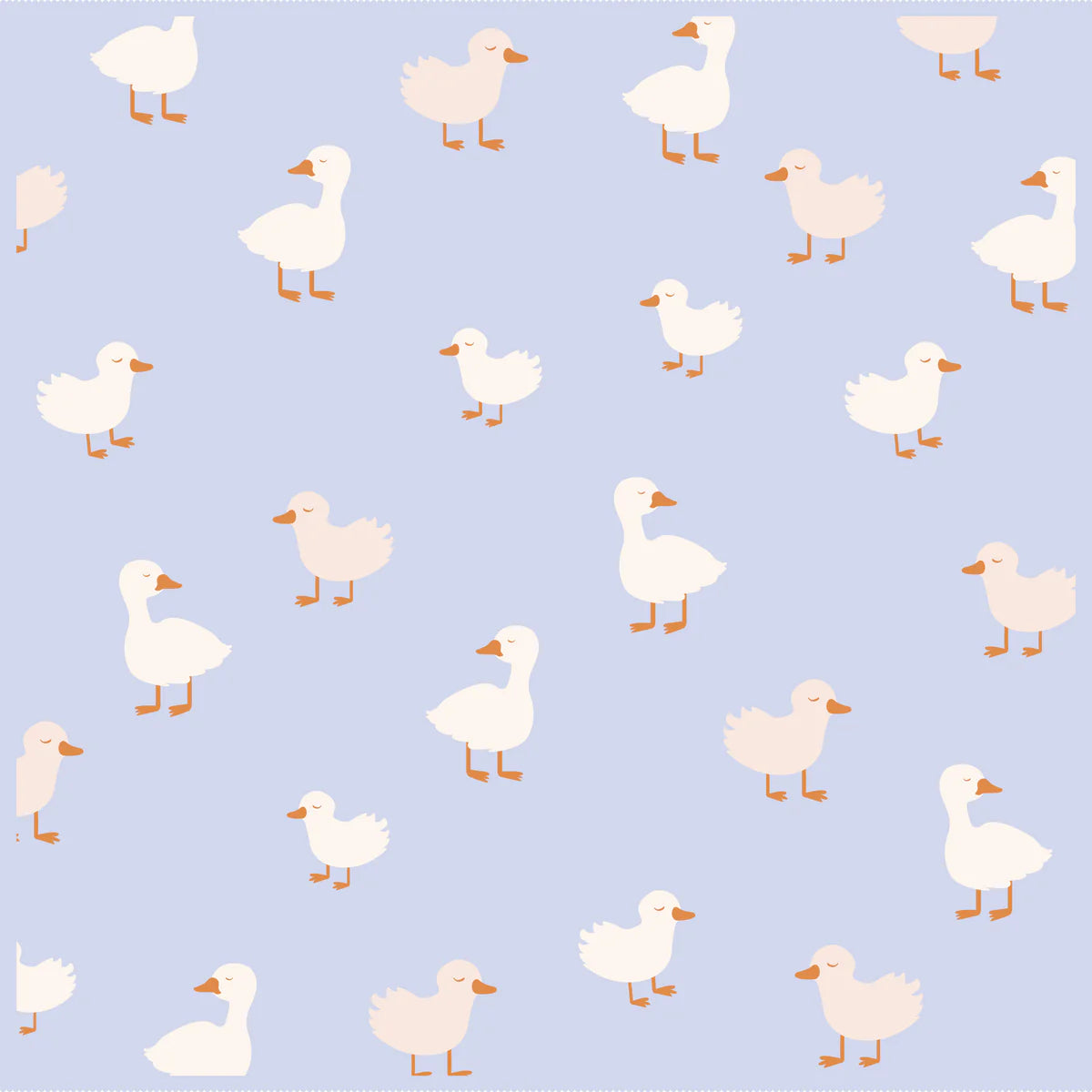 Blue Ducks Blanket