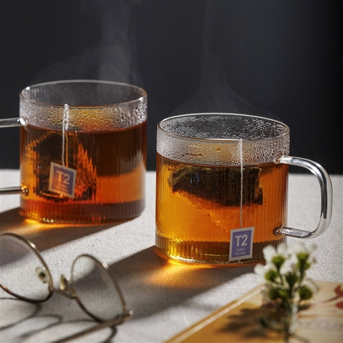 Infuse Set of 2 Glass Cups 350ml