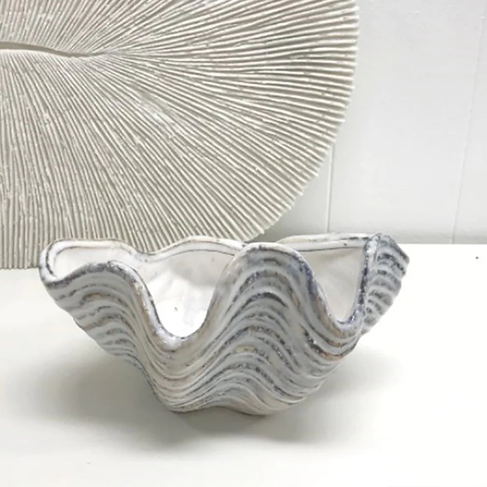 Small Clam Shell