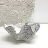 Small Clam Shell