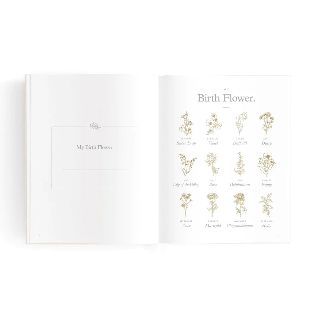 Mini Baby Book Oatmeal