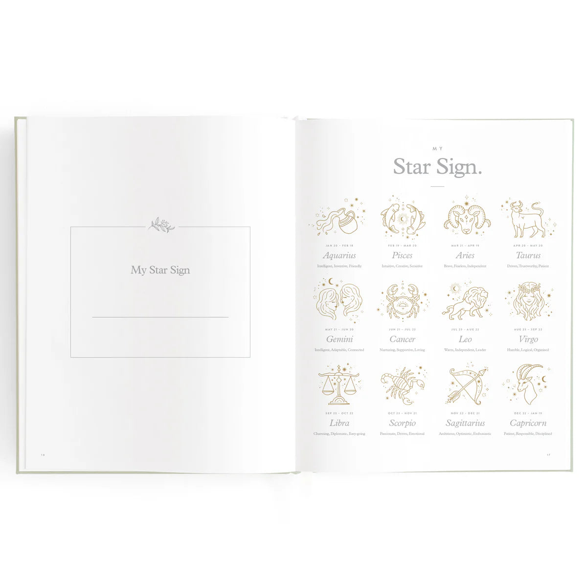 Baby Book Sage Stripe