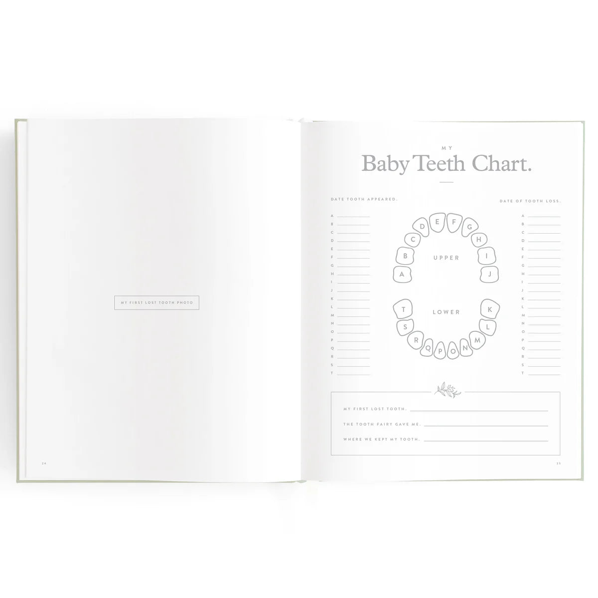 Baby Book Sage Stripe