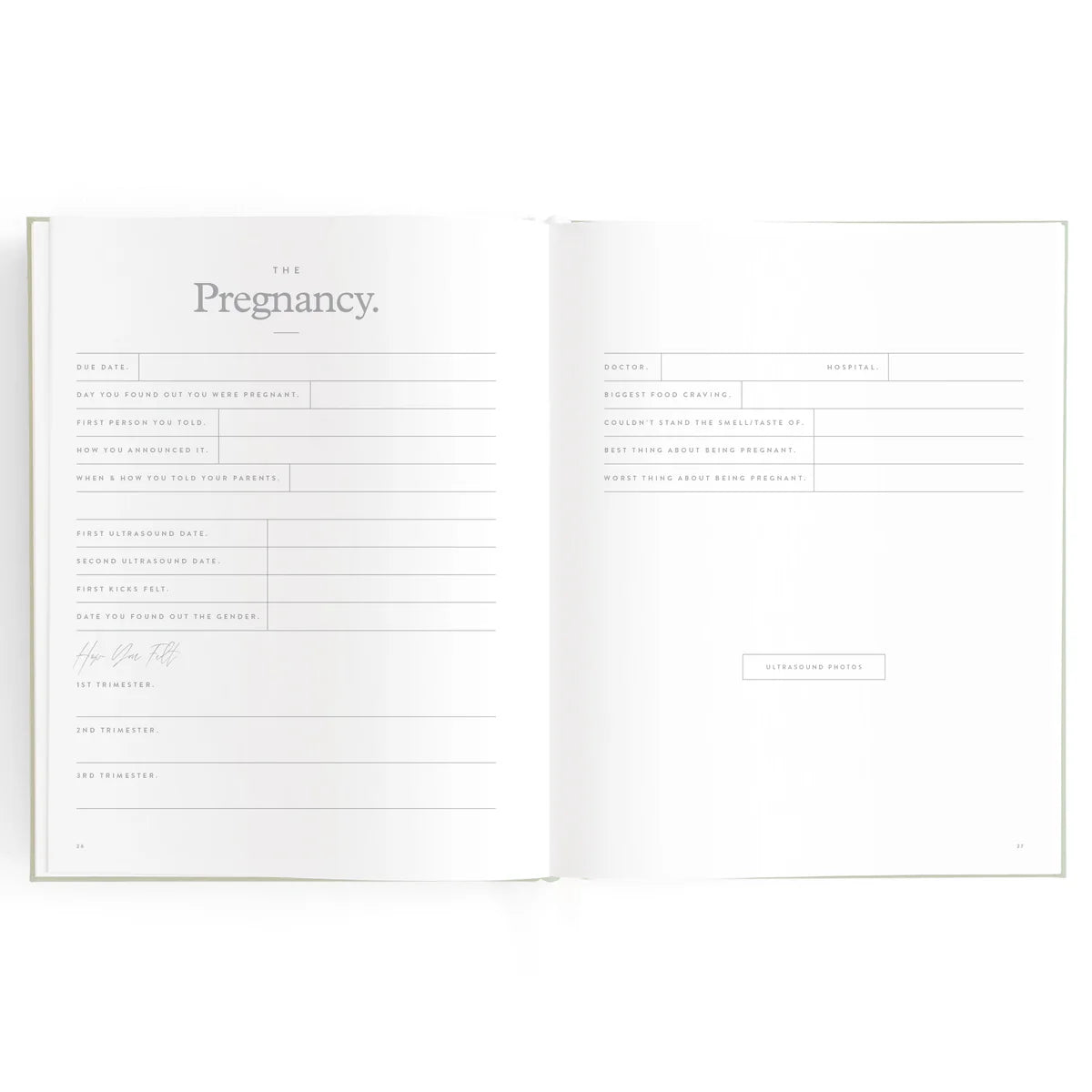 Baby Book Sage Stripe