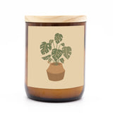 Midi House Plants Candle - Monstera