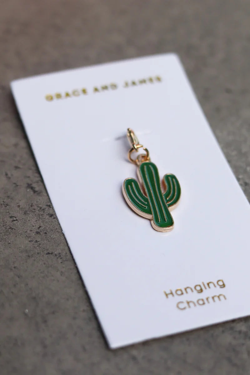 Hanging Charm Cactus