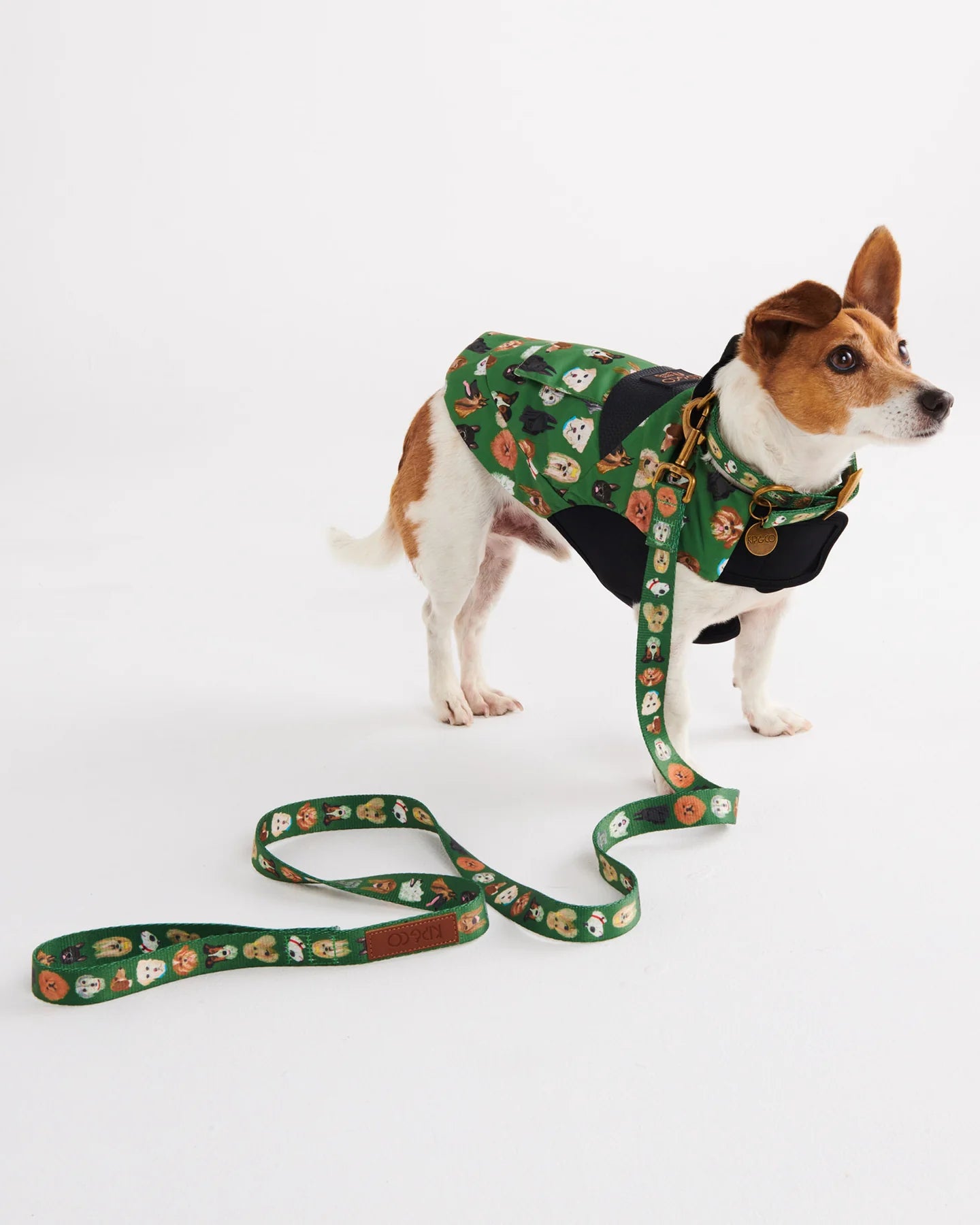 Dog Park Lead - Small