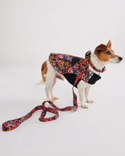 Load image into Gallery viewer, Forever Floral Black Dog Lead
