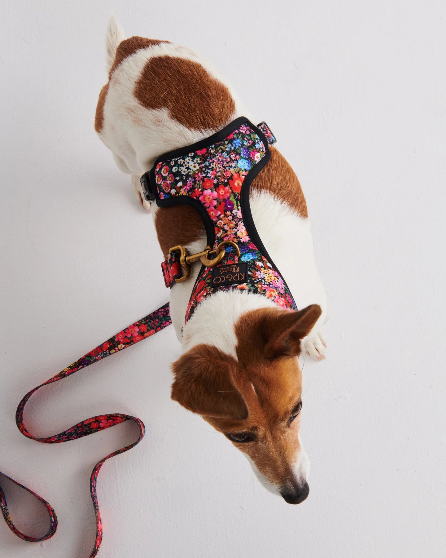 Forever Floral Dog Lead - Small