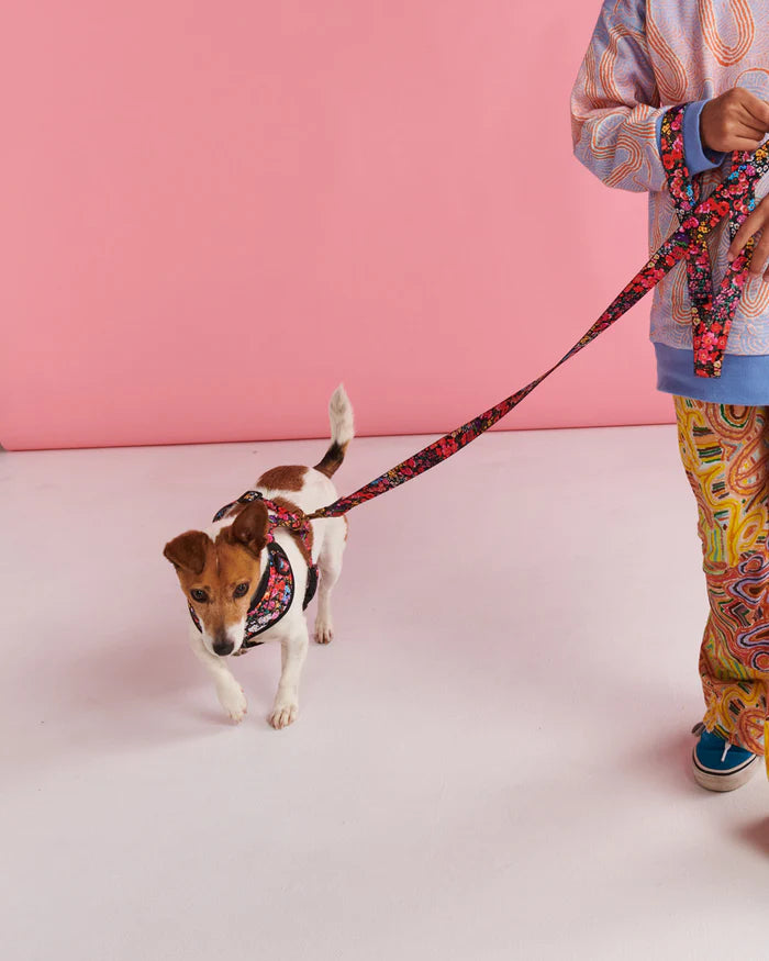 Forever Floral Black Dog Lead