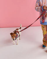 Forever Floral Black Dog Lead