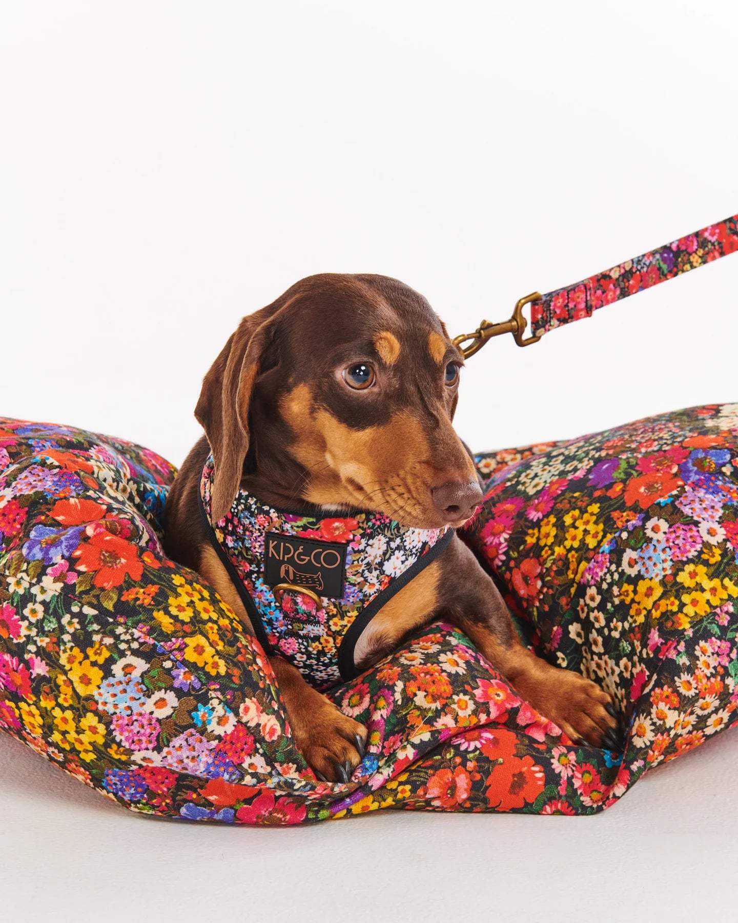 Forever Floral Dog Lead - Small