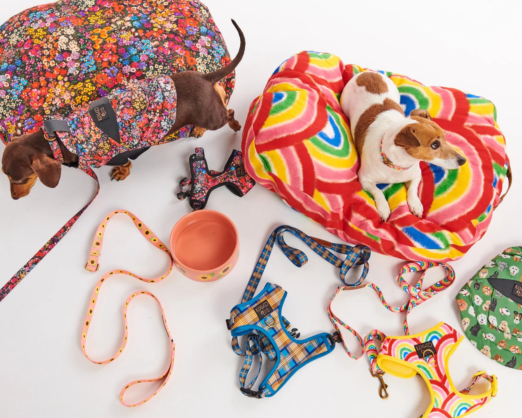 Forever Floral Dog Lead - Small