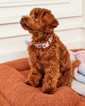 Load image into Gallery viewer, Fez Stripe Dog Collar
