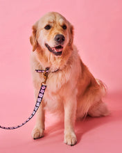 Load image into Gallery viewer, Flower Face Dog Lead

