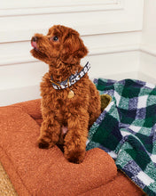 Load image into Gallery viewer, Flower Face Dog Collar
