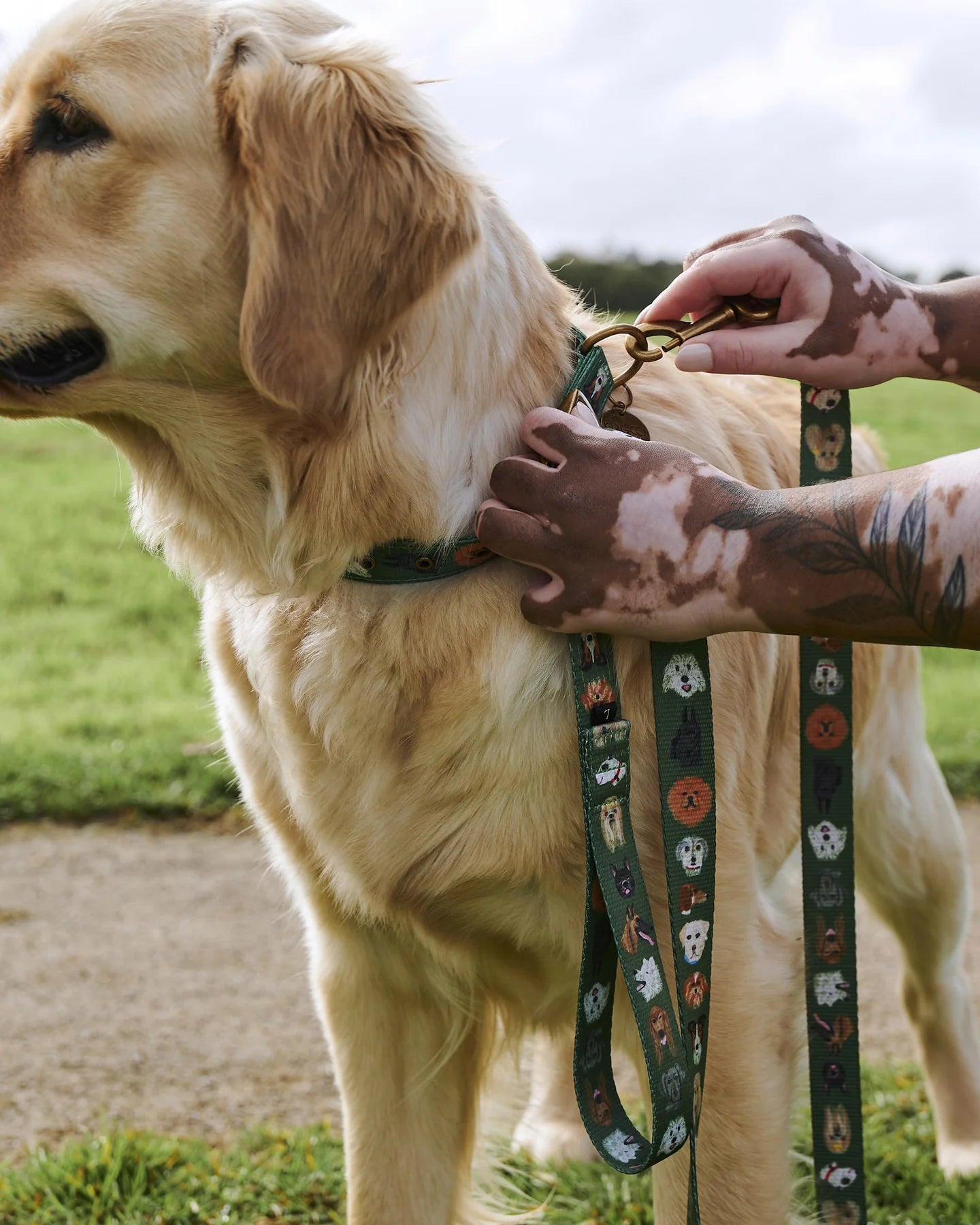 Dog Park Lead - Small