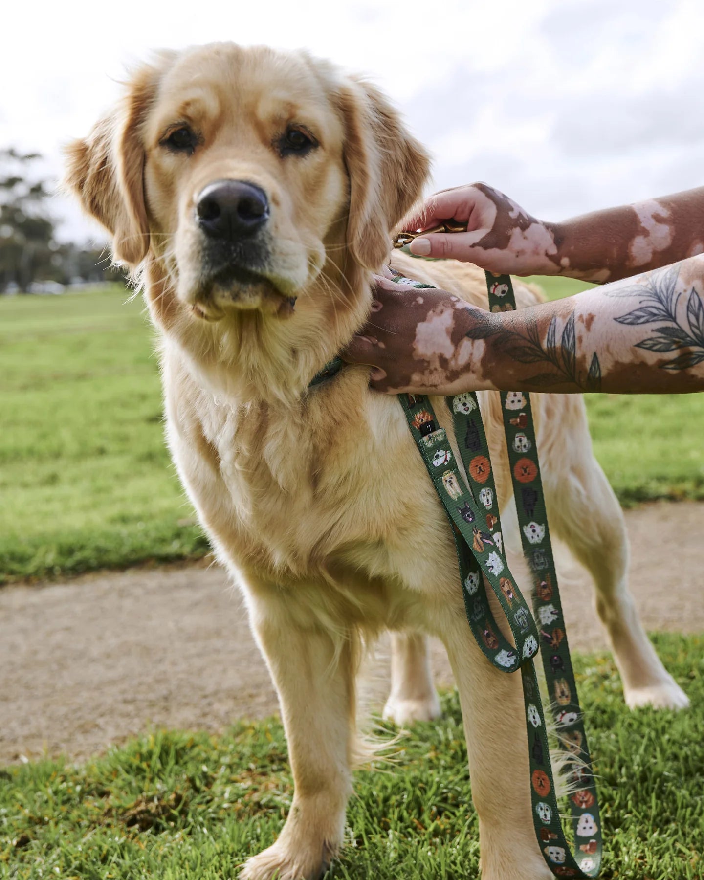 Dog Park Lead - Small