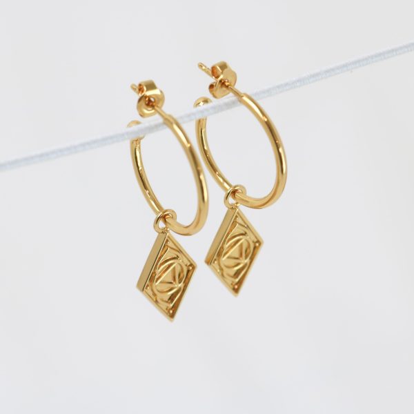 Larni Earrings in Gold