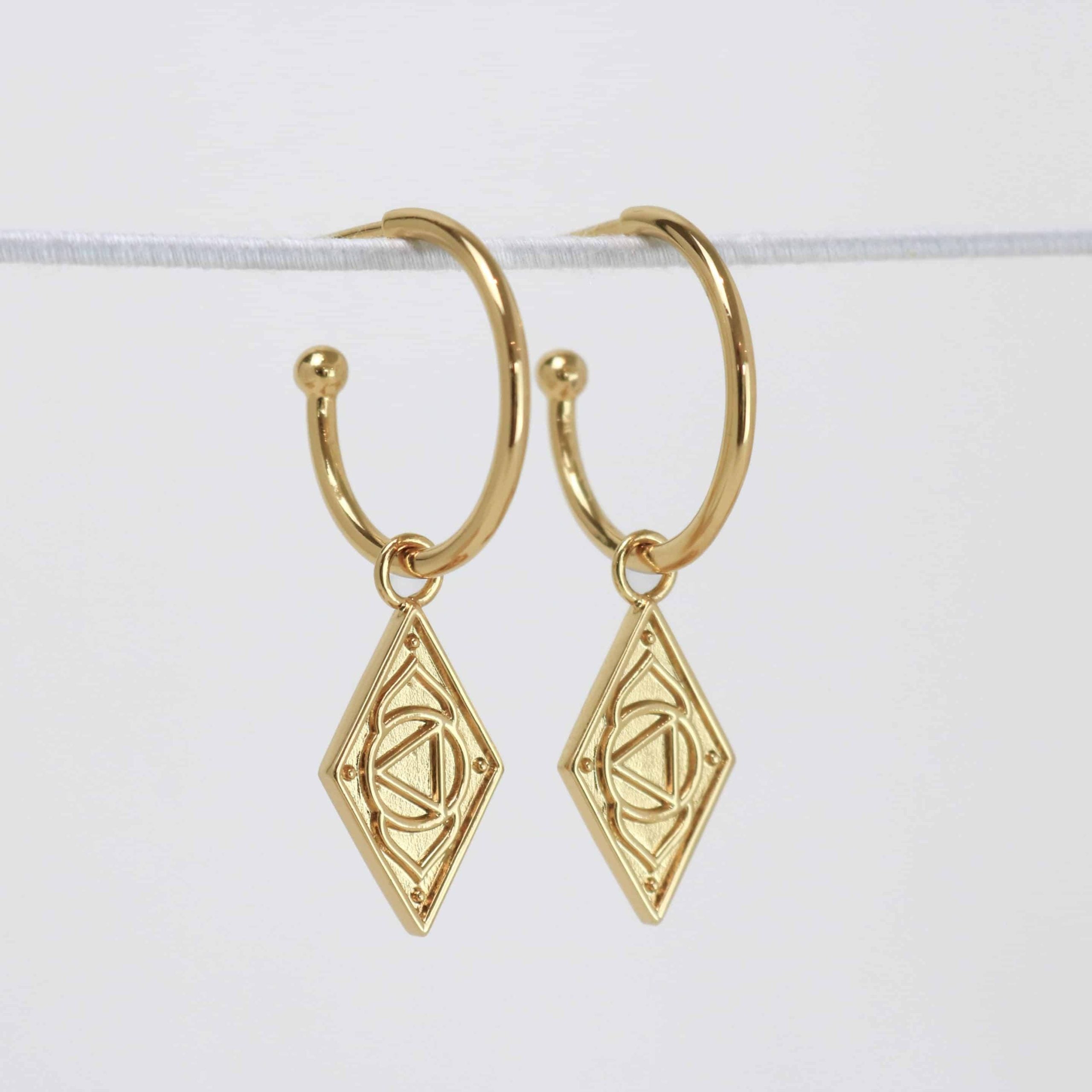 Larni Earrings in Gold