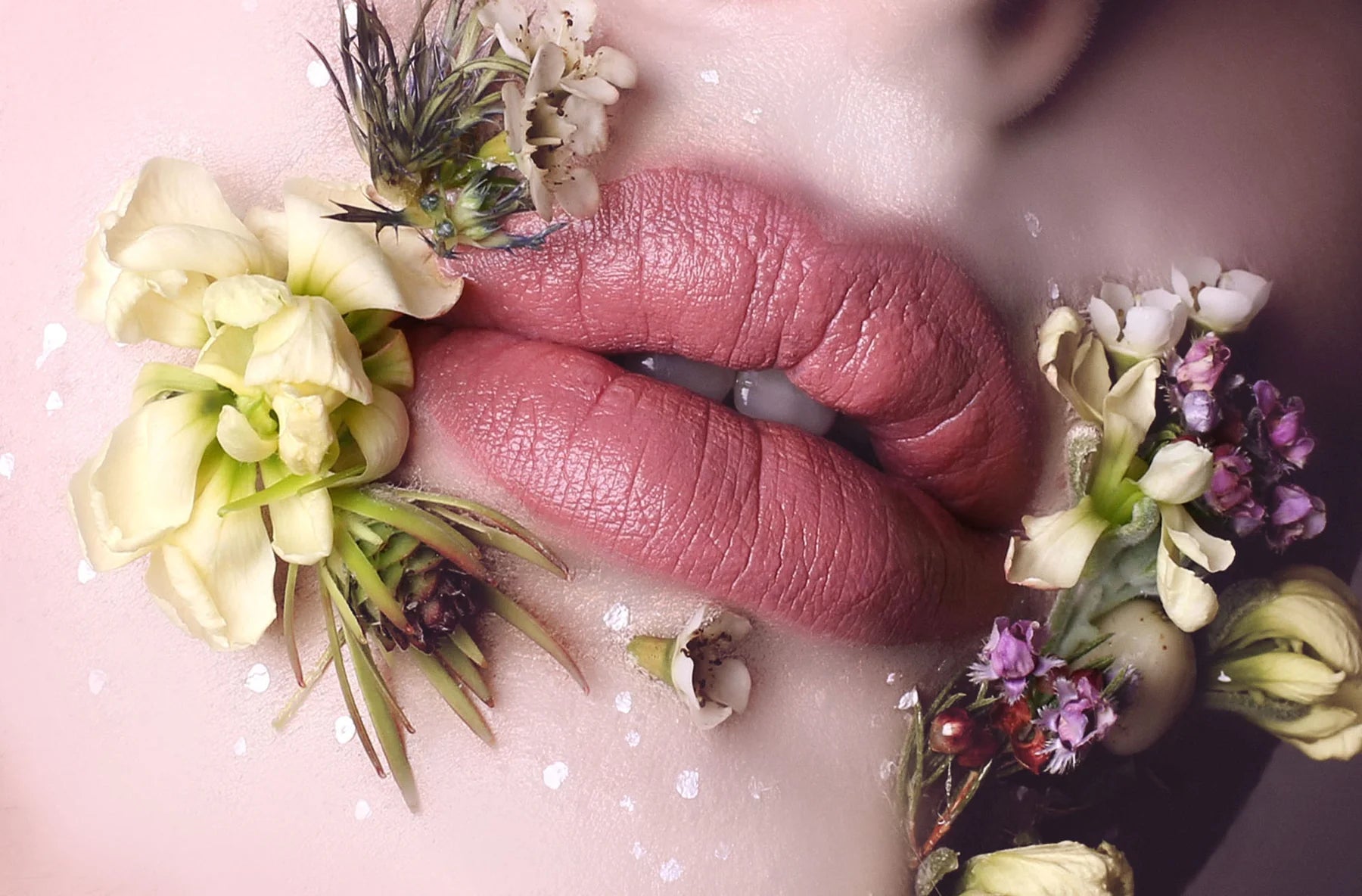 Suzi Lipstick Miss Jacqui Pink Lace (Satin)