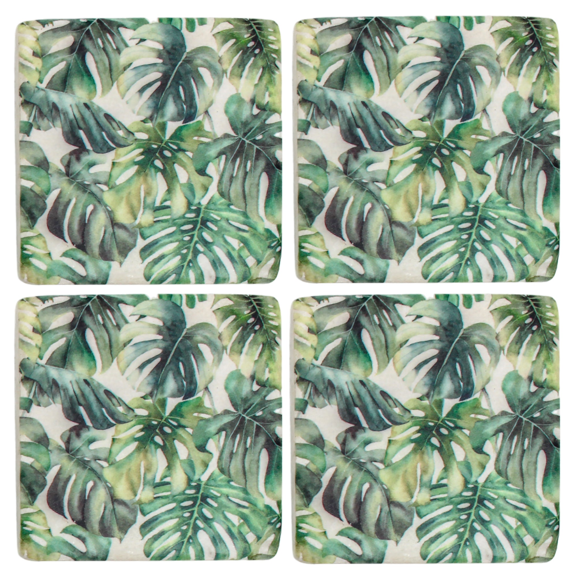 Monstera Grove Coasters - Set of 4
