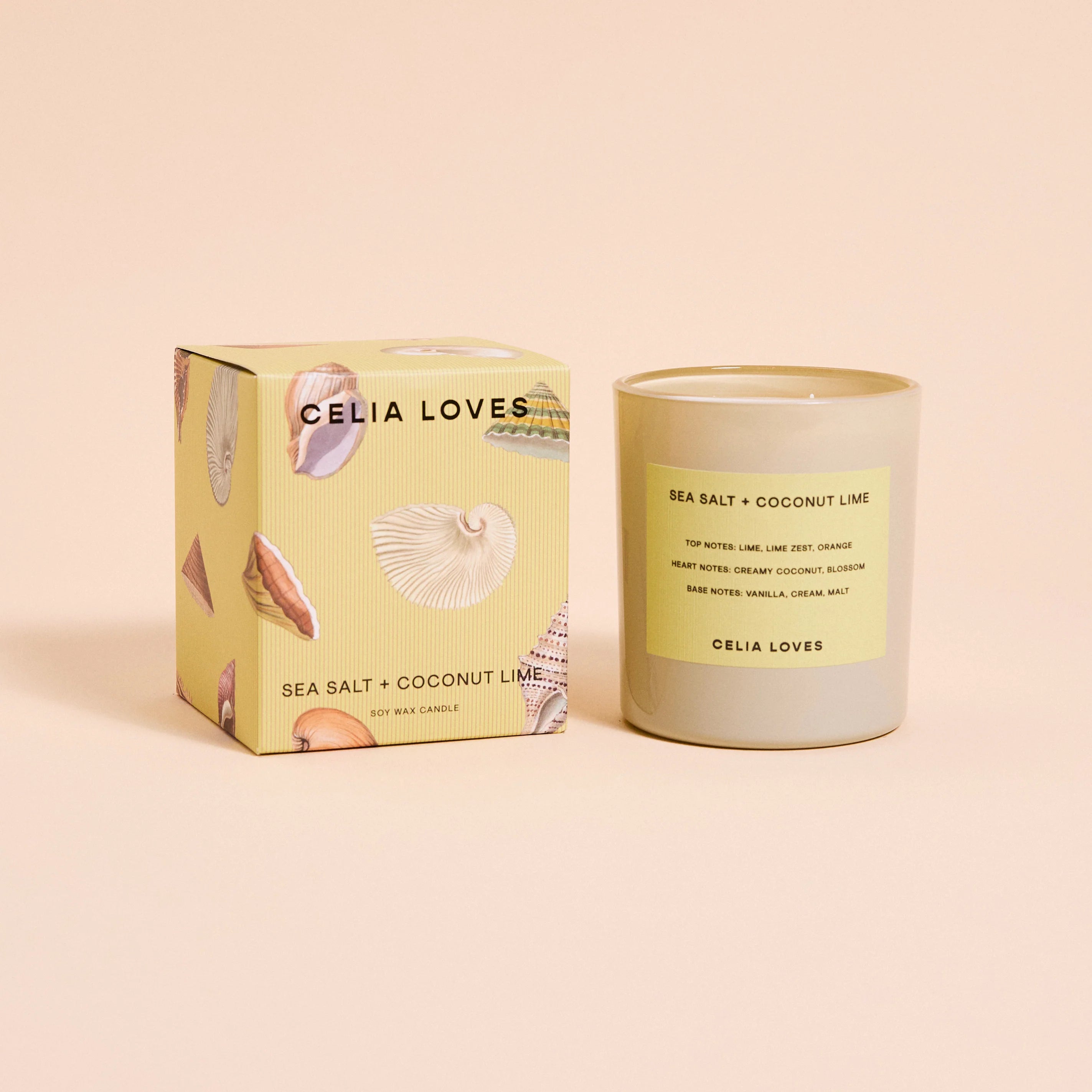 Sea Salt & Coconut Lime Candle 395gms