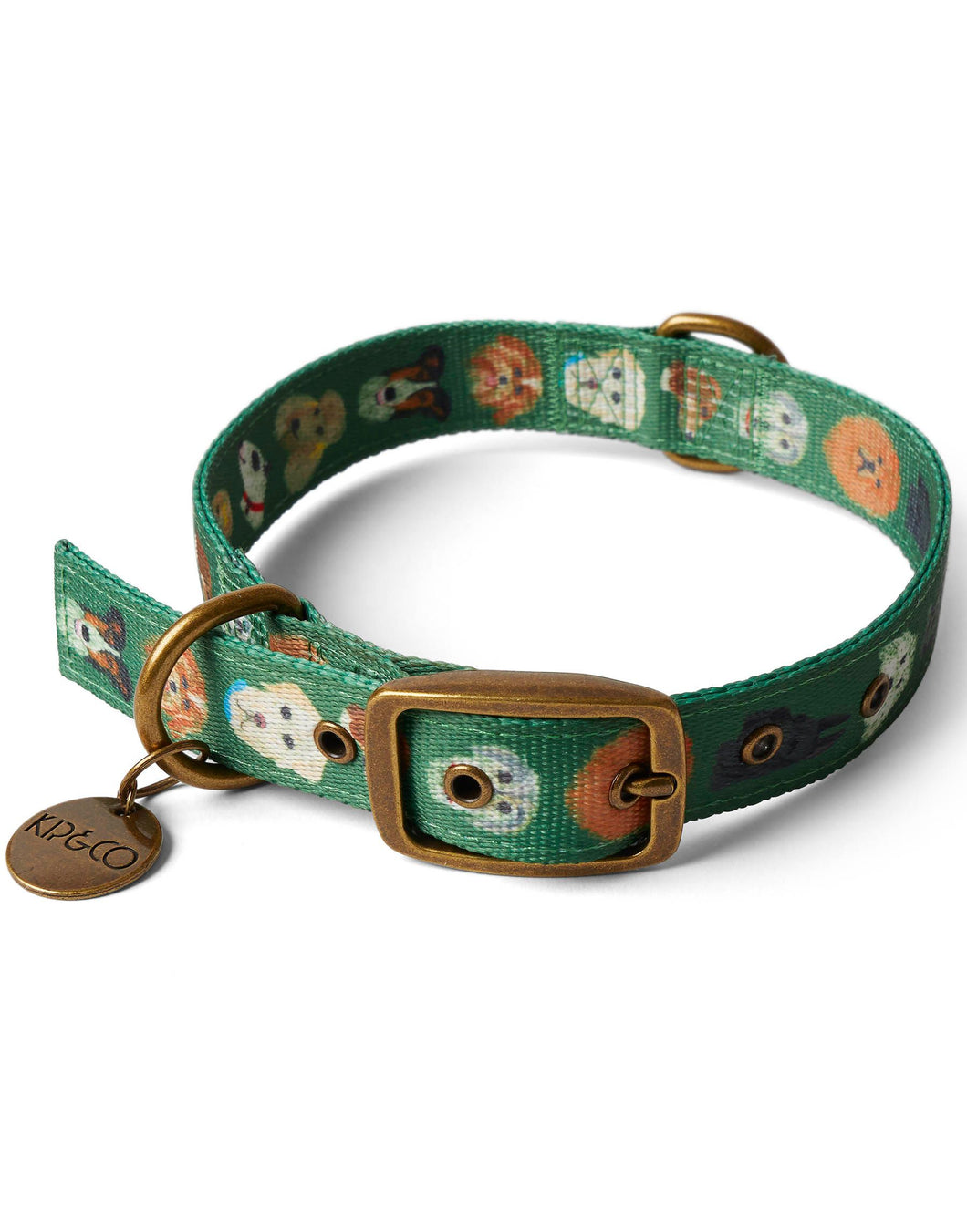 Dog Park Dog Collar