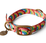 Rainbow Spray Dog Collar