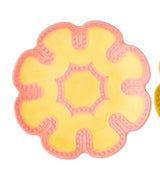 Primo Side Plates