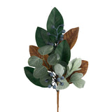 Magnolia Blueberry Spray