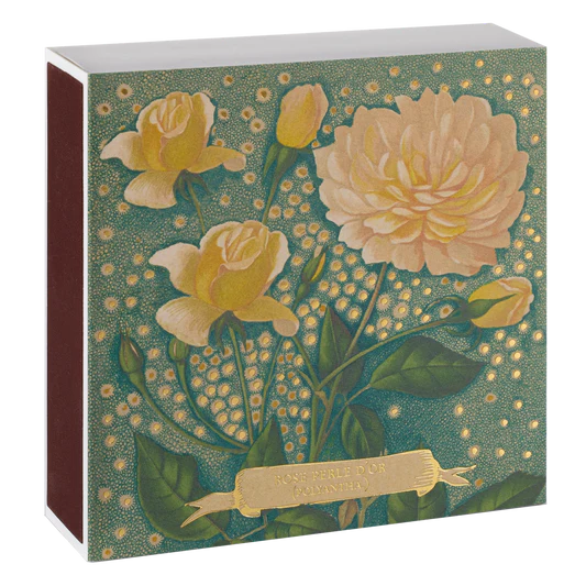 Rose Perle D'or Luxury Matches
