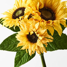 Load image into Gallery viewer, Sunflower Bouquet x3
