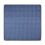 Picnic Mat Blue Check