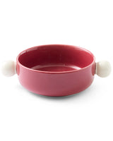 Rhubarb Orbit Baking Dish